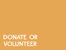 Donate Volunteer Opportunity Icon