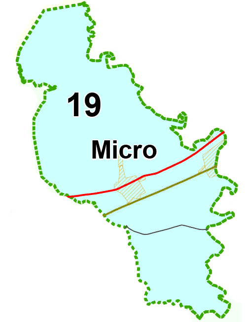 Map of Town of Micro Voting Area