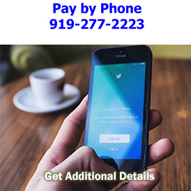 Pay Taxes by Phone