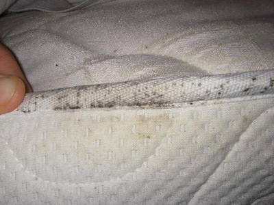 Bed Bug Excrement on Side of Mattress