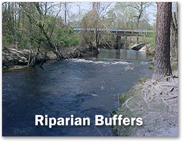 Riparian Buffers